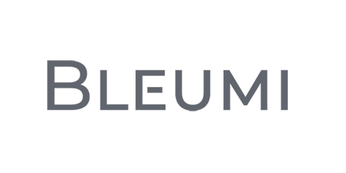 Bleumi Logo